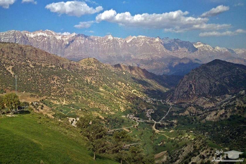 کوه دنا