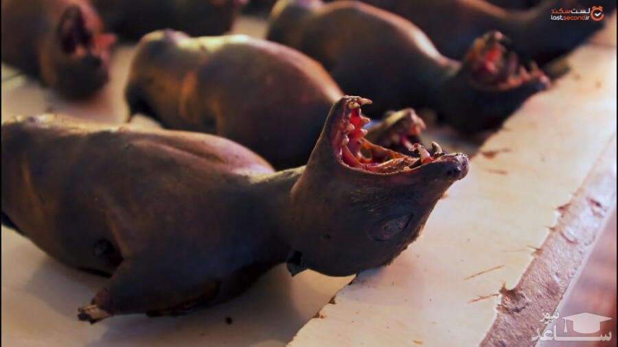 (فیلم +18) بازار گوشت های چندشی که منشاء خیلی بیماری ها شده