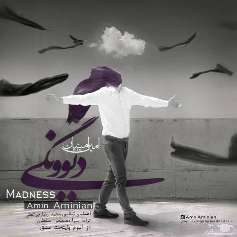 دانلود آهنگ دیوونگی از امین امینیان