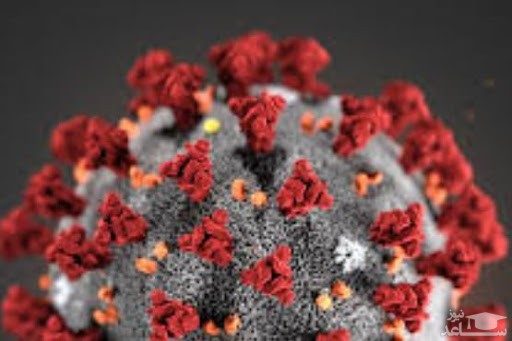 اثرات ظهور گونه‌های جدید جهش‌یافته کرونا