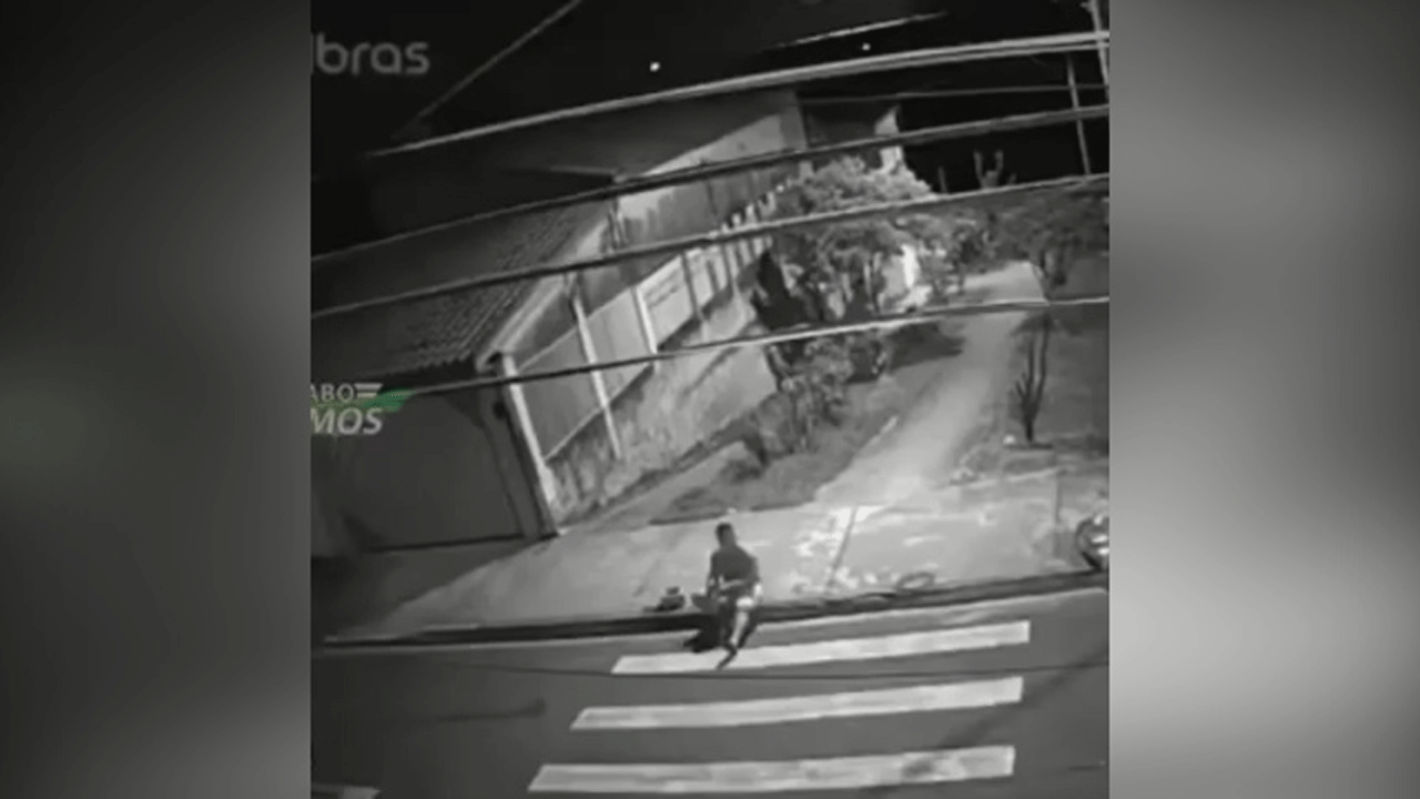 (فیلم) اتفاق نادر تعقیب مجرم، گربه و مرد ترسو در یک زمان !