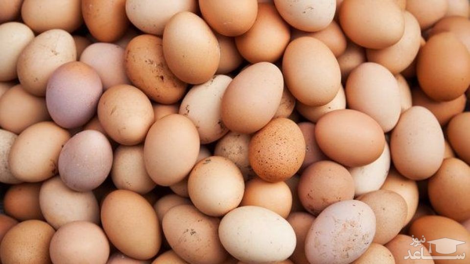 آشنایی با خاصیت درمانی تخم مرغ