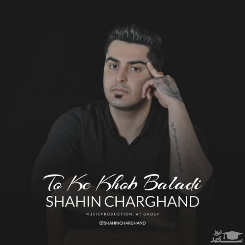 دانلود آهنگ تو که خوب بلدی از شاهین چرغند