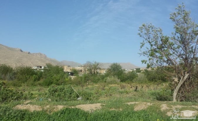 روستای بید سرخ صحنه