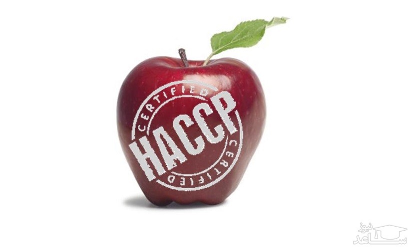 سیستم HACCP در سلامت و بهداشت غذا چیست؟