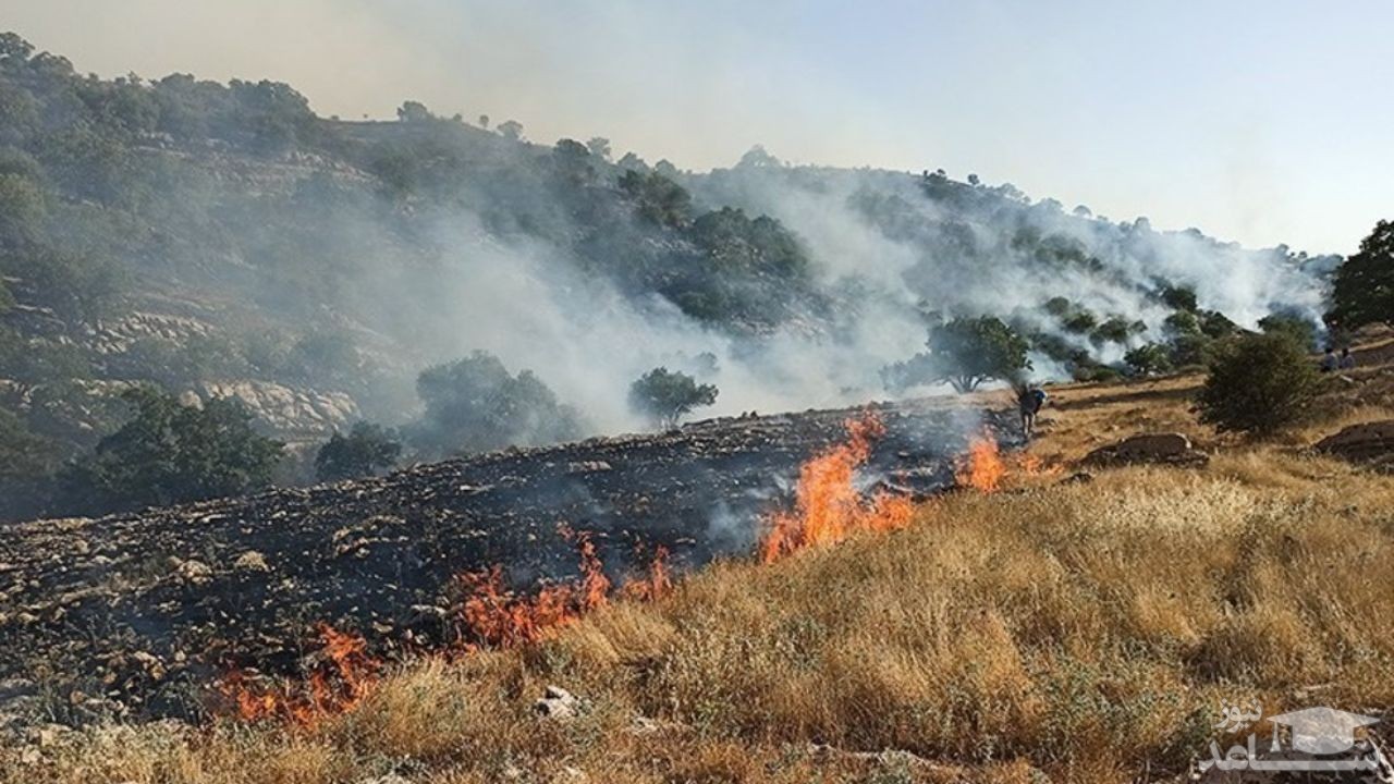مهار آتش سوزی جنگل‌های خاییز پس از ۵ روز