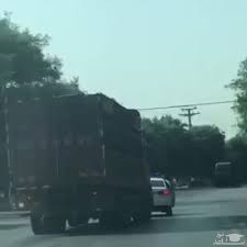 (فیلم) جدال پلیس با راننده کامیون (۱۸+)