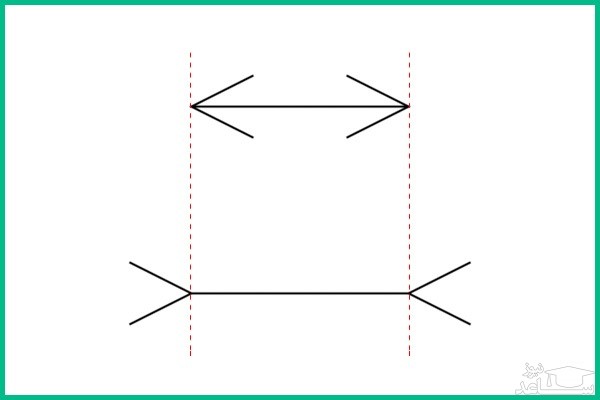 پاسخ خطای دید خطوط هم اندازه