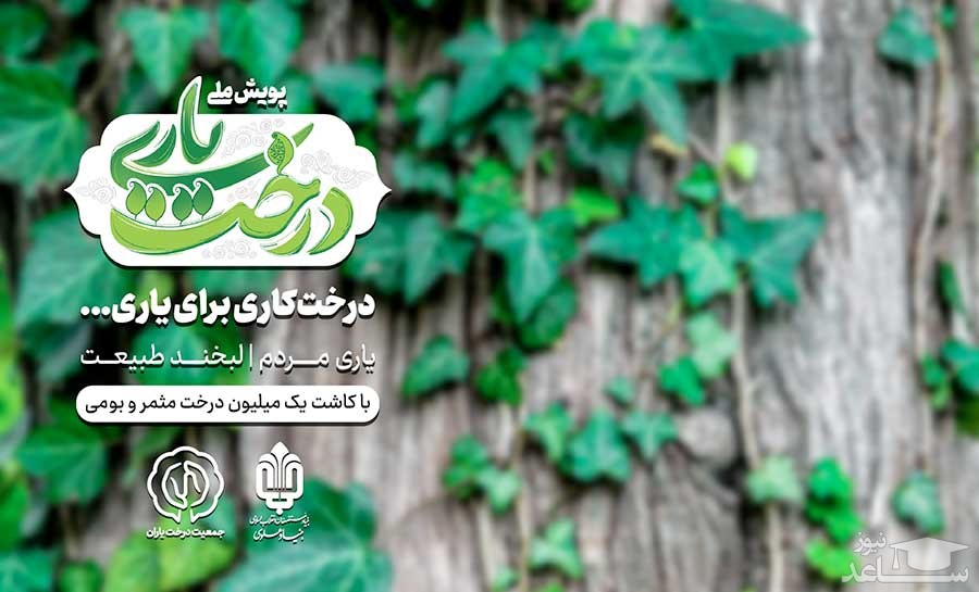 همه چیز درباره طرح درخت یاری