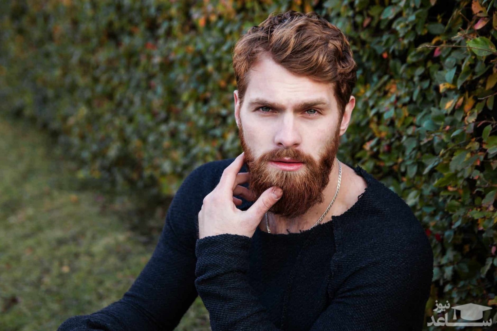 دلایل ریزش ریش و راههای درمان آن