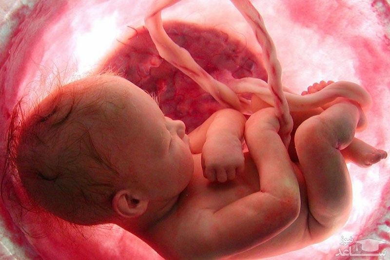 آزمایش های تشخیص نازایی و ناباروری