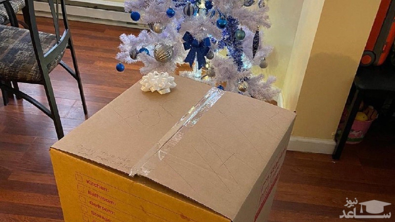 هدیه کریسمس عجیبی که یک دختر را شوکه کرد!