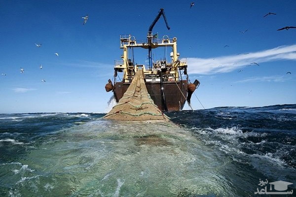 همه نوع صید ترال به مدت دو سال ممنوع می‌شود