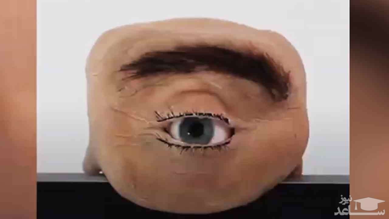 (فیلم) وب‌کمی عجیب که شبیه چشم انسان است!