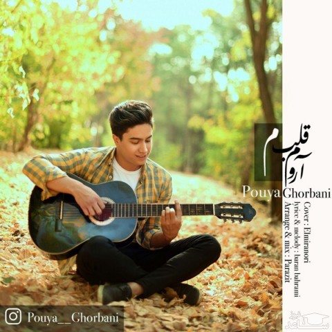 دانلود آهنگ آروم قلبم از پویا قربانی