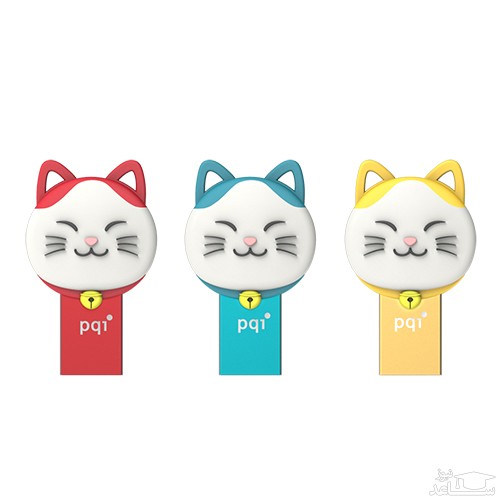 فلش مموری پی کیو آی مدل کانکت 303