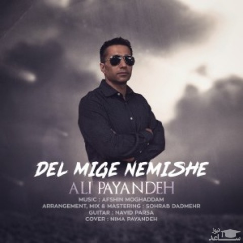 دانلود آهنگ دل میگه نمیشه از علی پاینده