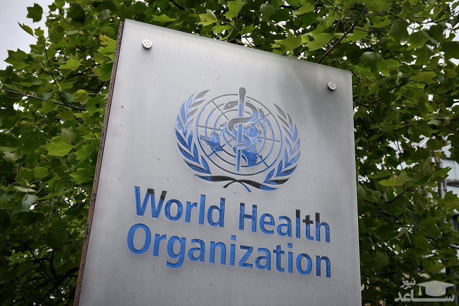 خبر خوش سازمان جهانی بهداشت درباره درمان بیماری کرونا