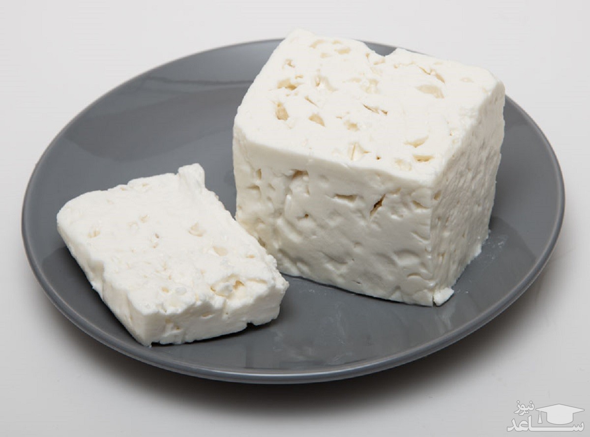 پنیر با قرص پنیر
