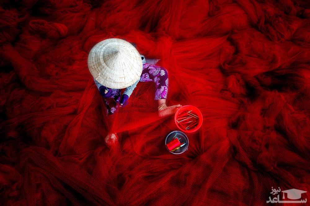 آیین مقدس مارگردانی، خونسردهای زیبا در نمای کلوزآپ و ...