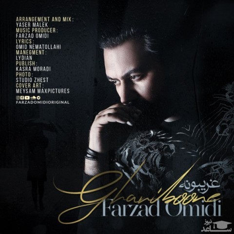 دانلود آهنگ غریبونه از فرزاد امیدی