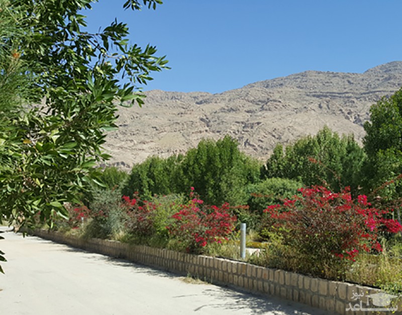 بوستان کوهستانی فراشبند