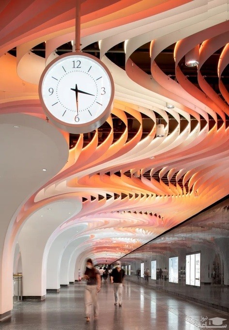 اثر برگزیده عکاسی