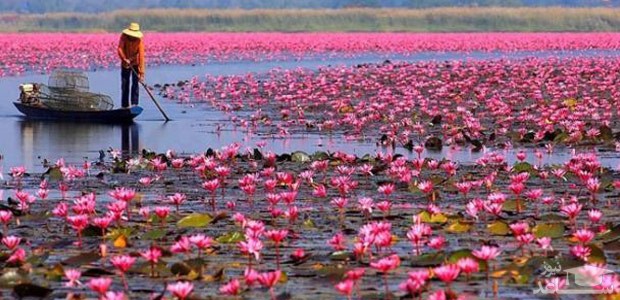 (فیلم) جاذبه های گردشگری و جاهای دیدنی بندر انزلی