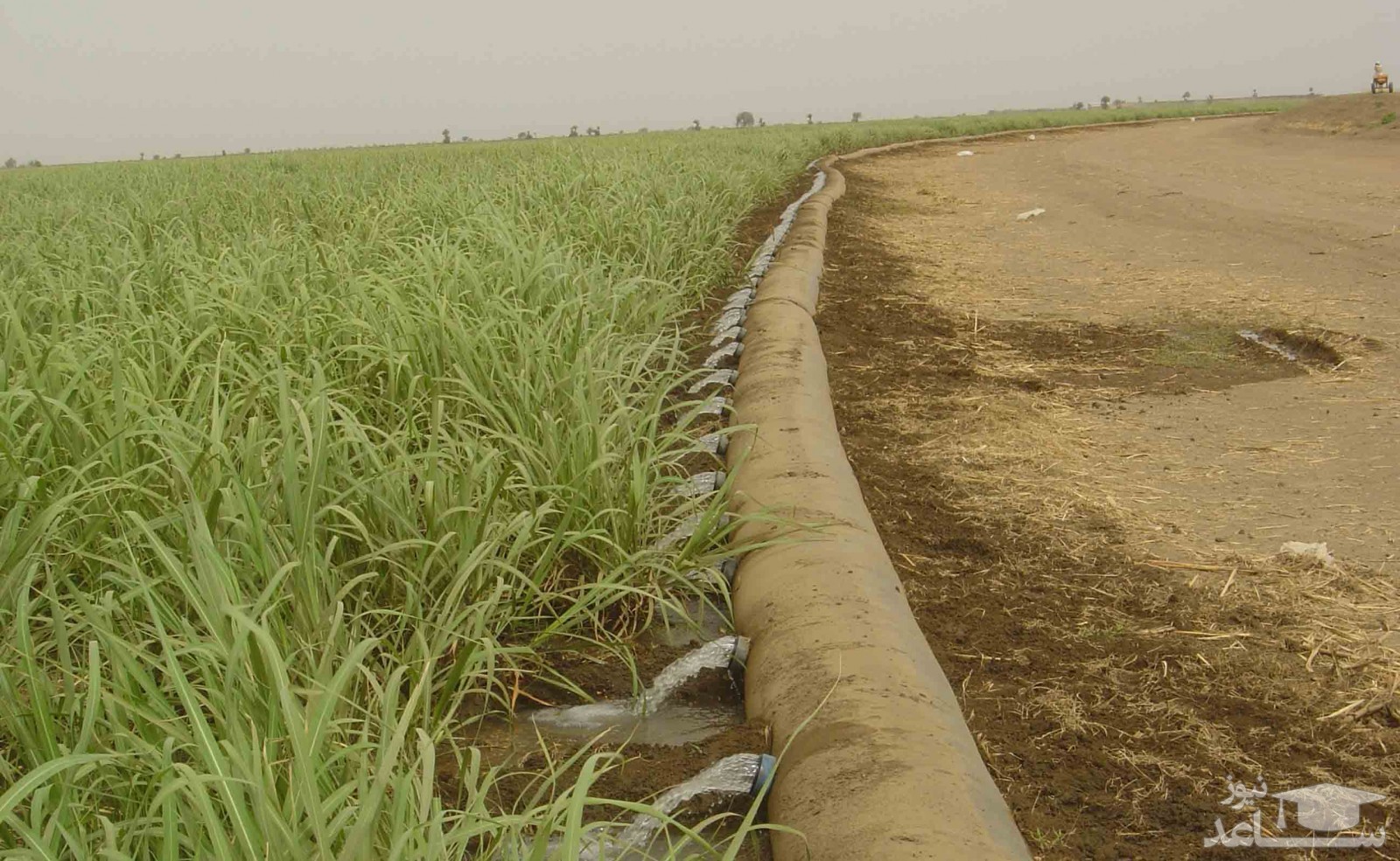 حق ارتفاق چگونه ایجاد می‌شود؟