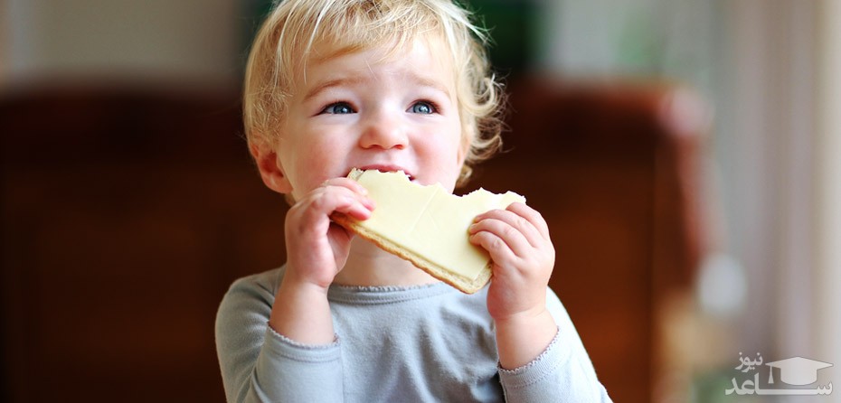 باید و نبایدهای مصرف پنیر در کودکان