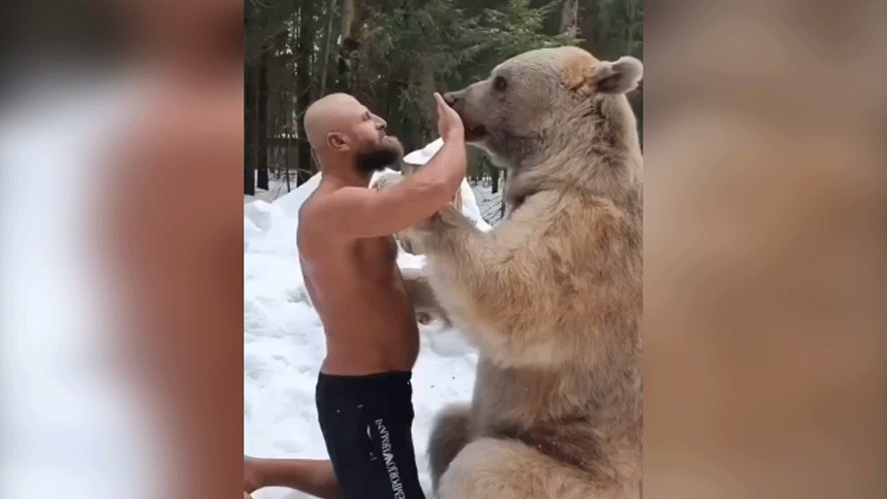 (فیلم) ابراز احساس مرد روسی به یک خرس بزرگ 
