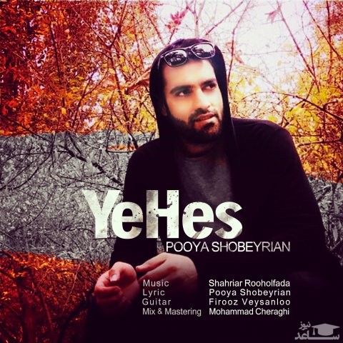دانلود آهنگ یه حس از پویا شبیریان