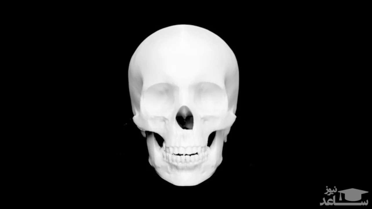 جمجمه قوچ در سر گِلی، کشف عجیب دنیای باستان