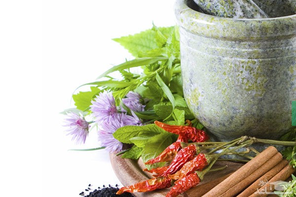 آغاز آموزش مجازی طب ایرانی و مکمل به دانشجویان علوم پزشکی از فردا