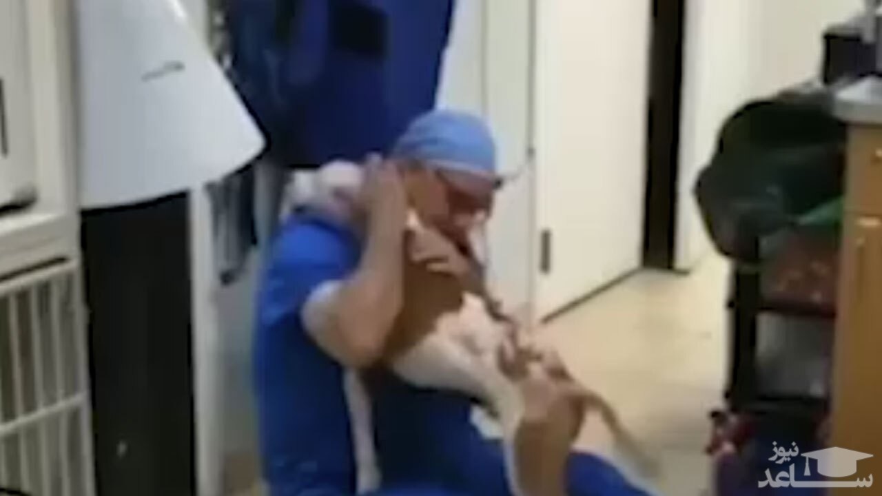 (فیلم) تشکر جالب سگ از دامپزشکی که جان او را نجات داد