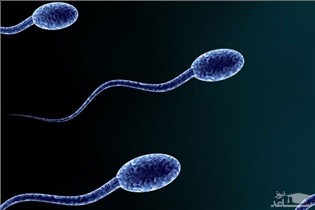 شرایط اهدا و دریافت اسپرم و تخمک در ایران