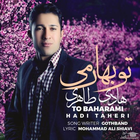 دانلود آهنگ تو بهارمی از هادی طاهری