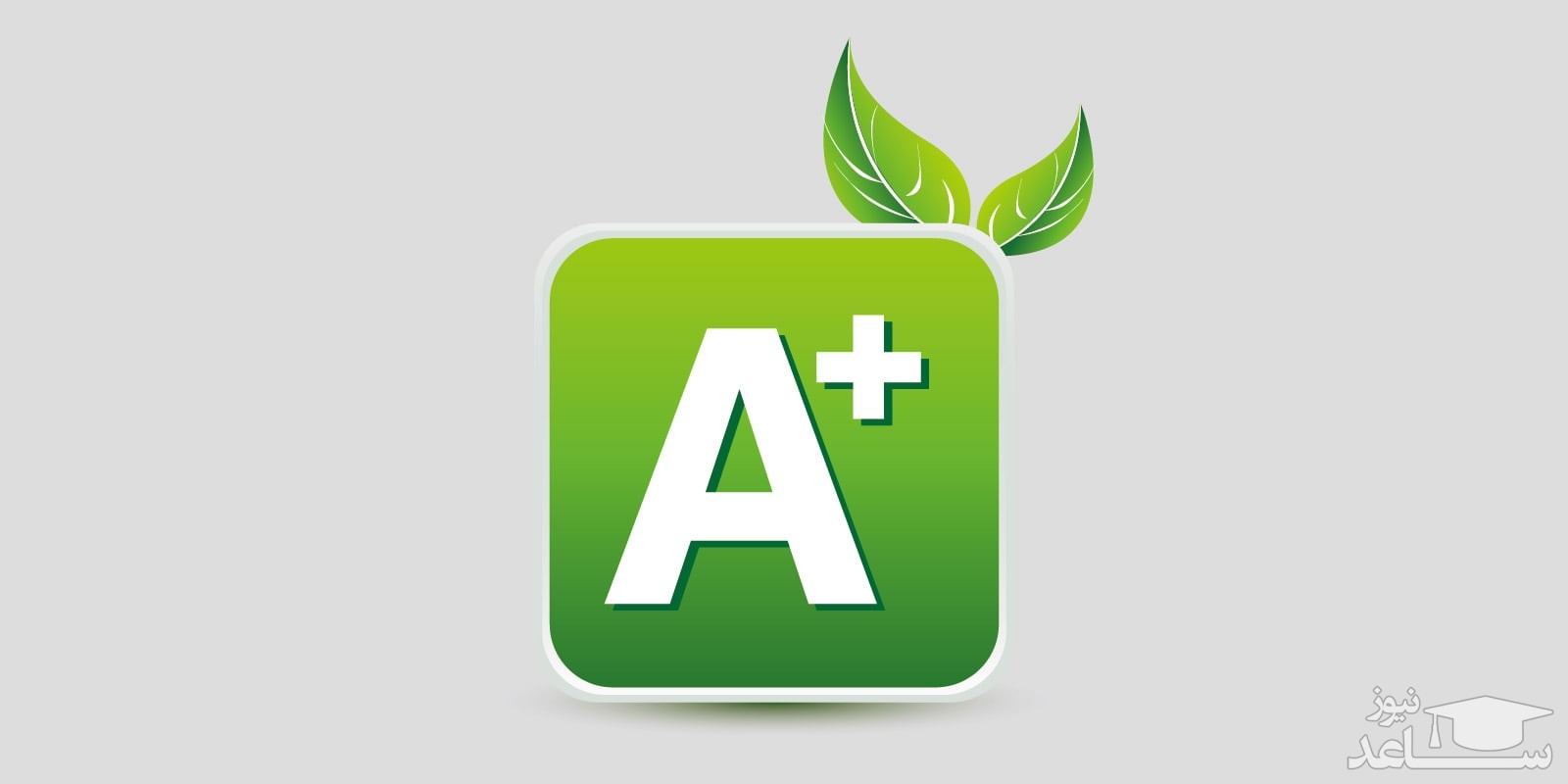 یخچال فریزر بکو مدل RCNE520E21DW