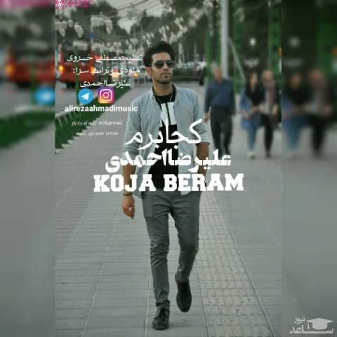 دانلود آهنگ کجا برم از علیرضا احمدی