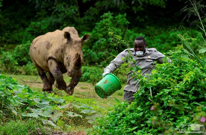 دیدنی های امروز شنبه 6 اردیبهشت 99