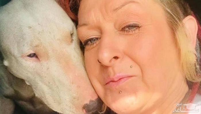 طلاق عجیب زن انگلیسی برای زندگی با سگ‌ها!