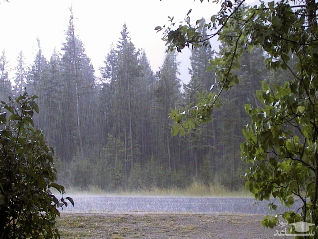 آغاز بارش باران در مناطق سیل‌زده از روز دوشنبه