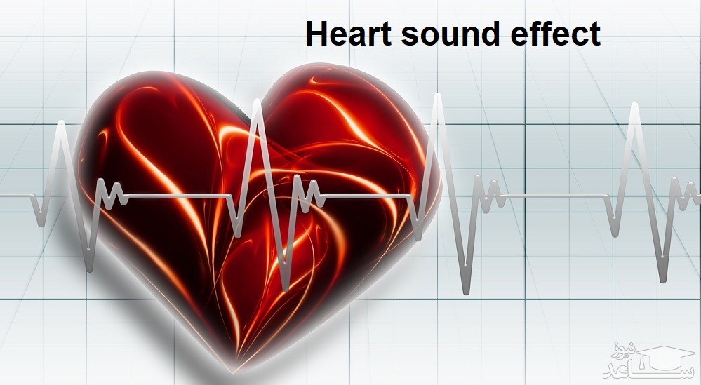 دانلود آهنگ تپش قلب 1 از افکت صوتی انسان و موجودات زنده