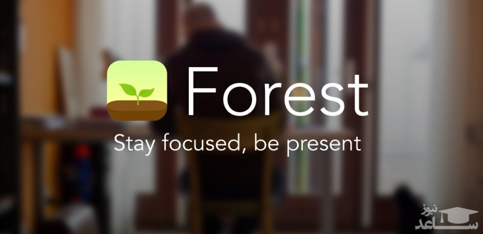 دانلود معرفی و آموزش استفاده از نرم افزار Forest