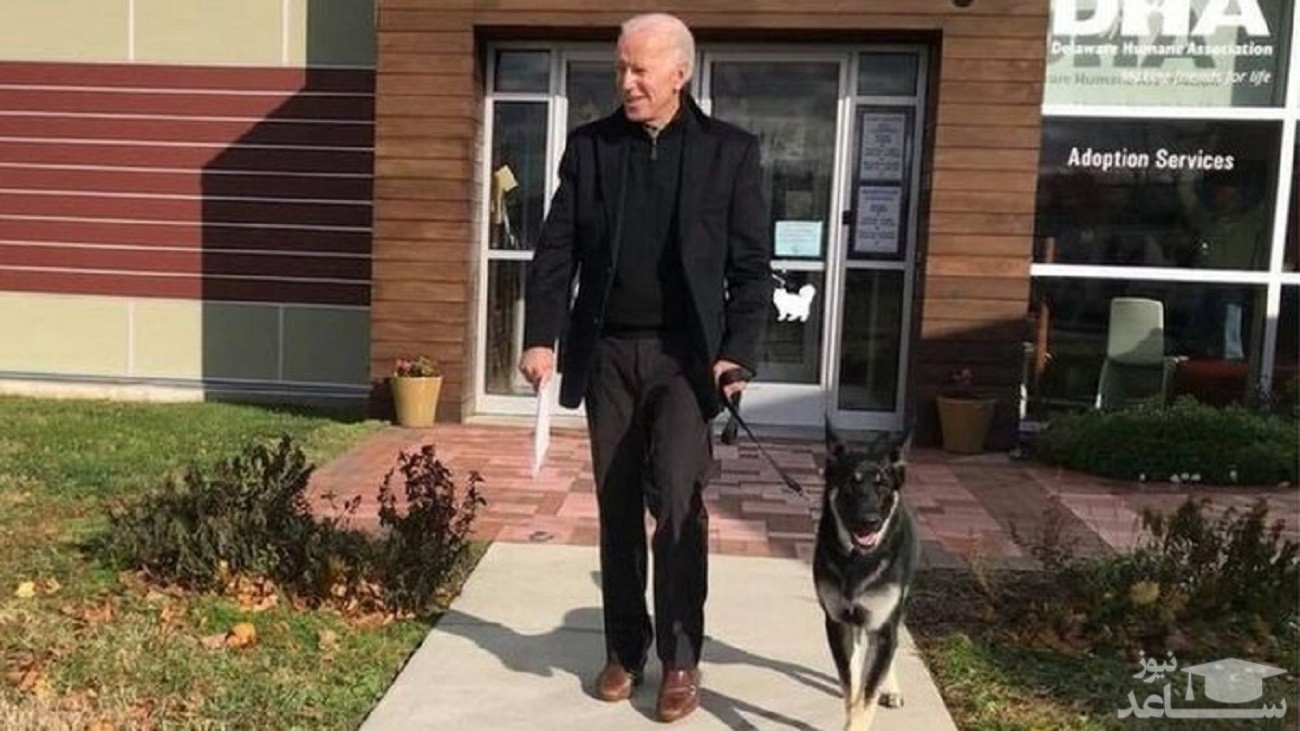 بایدن مصدوم شد