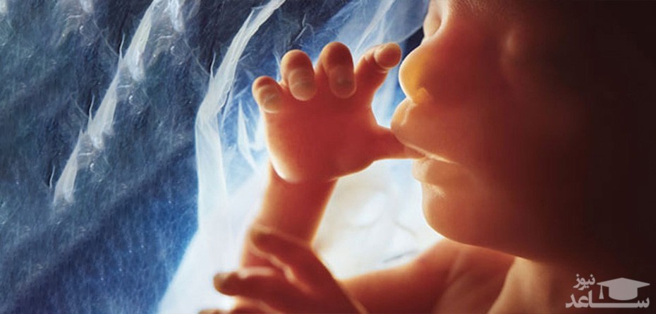جنین چگونه اکسیژن مورد نیاز خود را در رحم مادر به دست می آورد؟