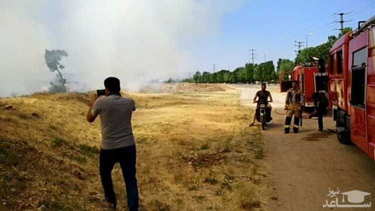 باغستان یکهزار ساله قزوین به خاطر یک عکس به آتش کشیده شد‌!