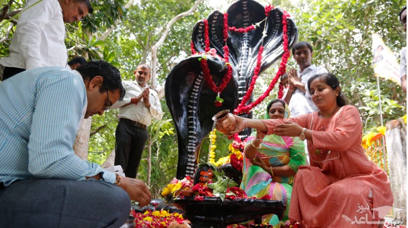 جشنواره آیینی در معبد مارها در احمدآباد هند