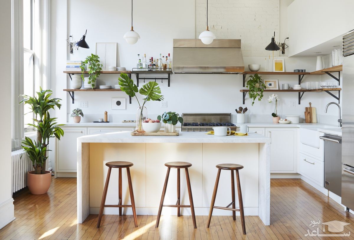 کدام گیاهان را میتوان در فضای آشپزخانه نگهداری کرد؟