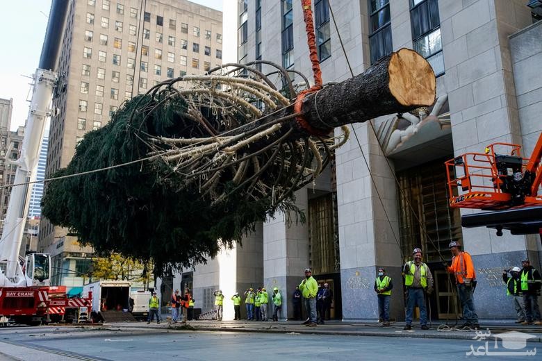 درخت کریسمس در مرکز راکفلر در شهر نیویورک آمریکا/ رویترز